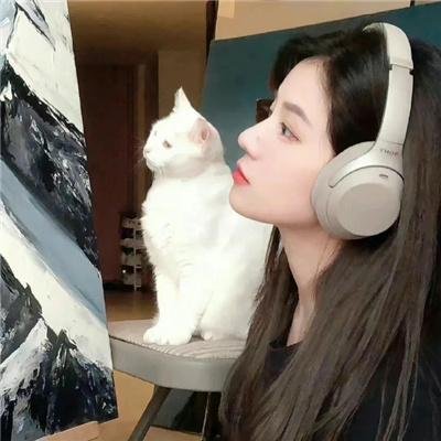 追杀女巫猎人封面