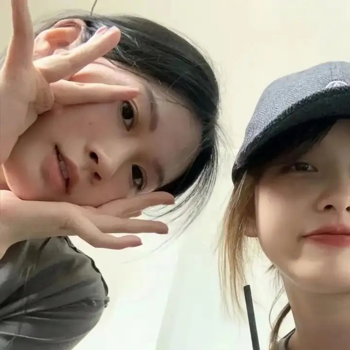 你的鸟儿会唱歌封面